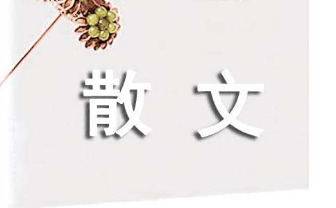谈谈散文的特点