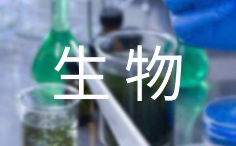 儿童直觉理论生物世界理论