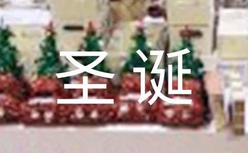 圣诞会营造浪漫的星座