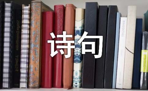 人生情感感悟经典诗句
