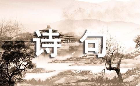 夸赞别人辛苦付出的诗句