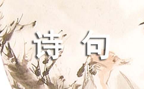 表达思念的诗句