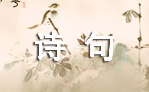 文雅有内涵的诗句