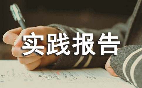 个人实践报告300字