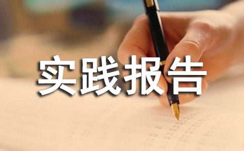 社会实践报告的范文