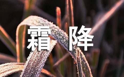 2020霜降满血复活的星座分别有哪4个