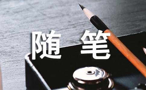 小学的随笔