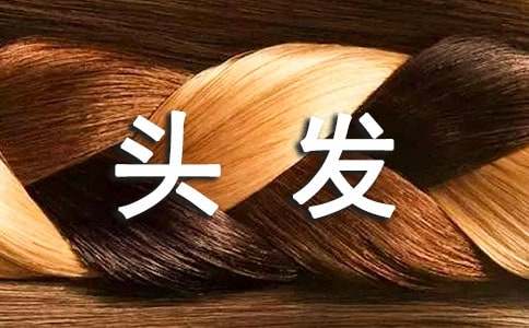 梦见长白头发