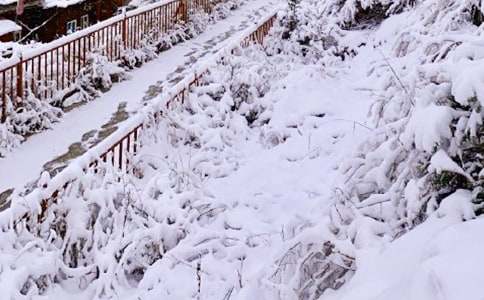 梦见下雪摘枣有什么寓意