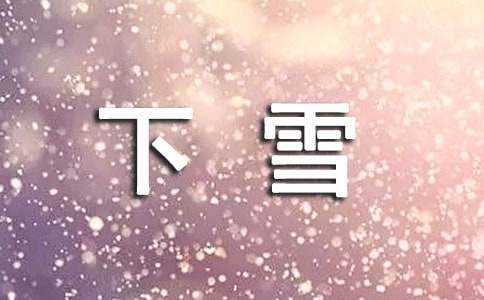 关于下雪感悟的句子