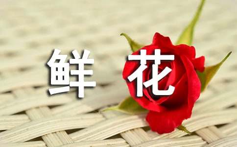开满鲜花的小院美文