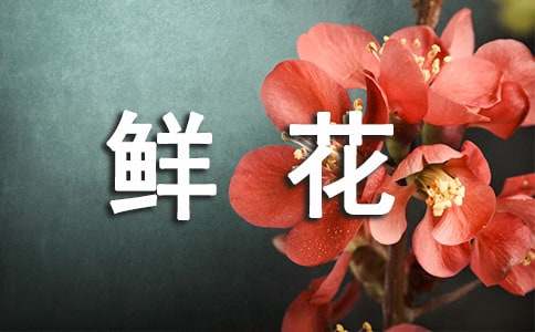 鲜花代表的含义