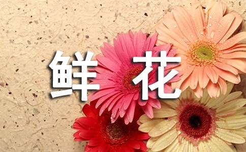 过年买鲜花朋友圈说说