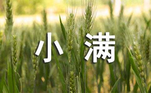 在小满节气的吃的养生食物