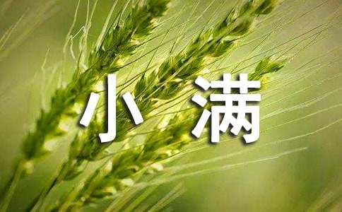 小满的故事