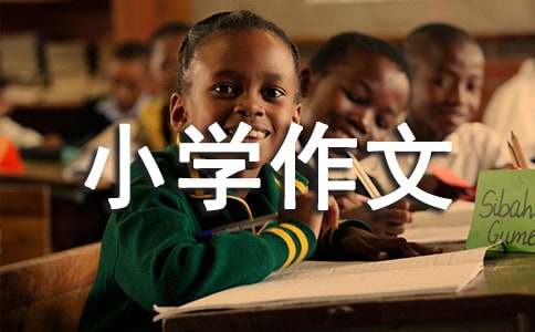 关于小学作文