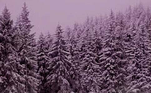 在小雪节气应该吃什么养生