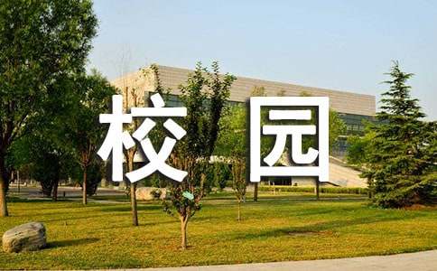 校园软暴力产生的原因