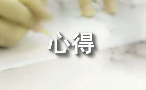 实训心得300字（精选12篇）