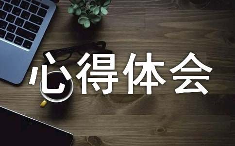 万能实训心得体会范文
