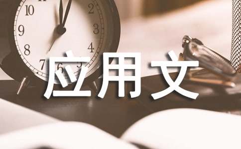 应用文总结800字
