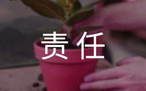 关于安全责任协议书模板五篇