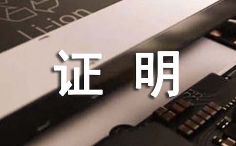 工资收入证明