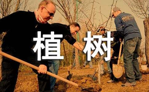 春光烂漫去植树散文