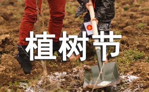 植树节作文300个字