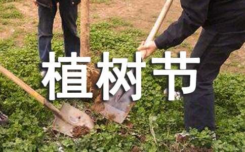 植树节100字的作文
