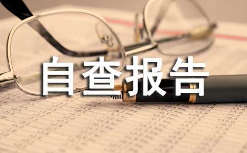 企业工资自查报告(6篇)