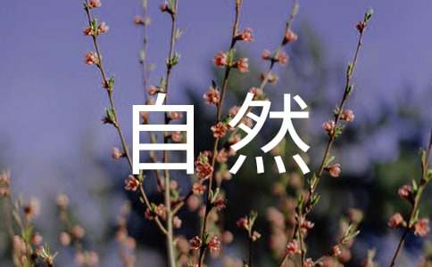 自然景物的散文