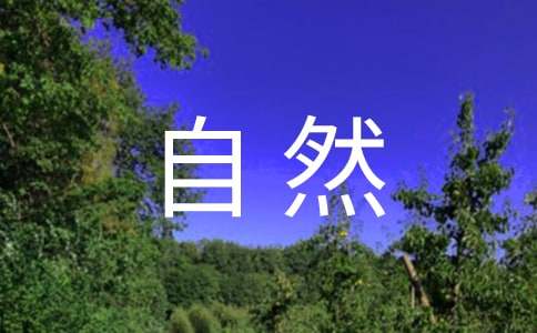 放好心态顺其自然句子