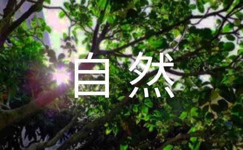 绿色伴娘服大自然的颜色