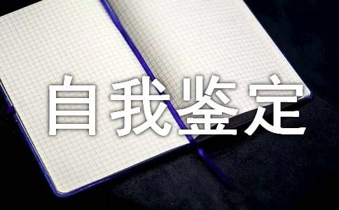 工作上的自我鉴定