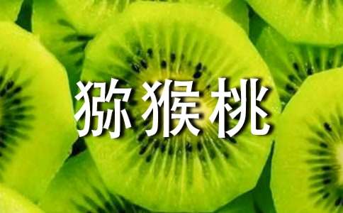 奇妙的长寿果猕猴桃