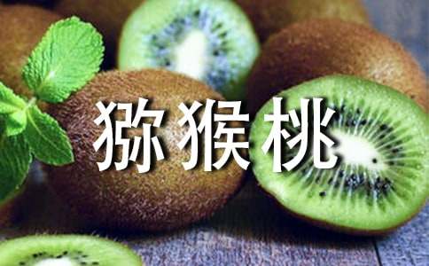 猕猴桃与奇异果有什么区别