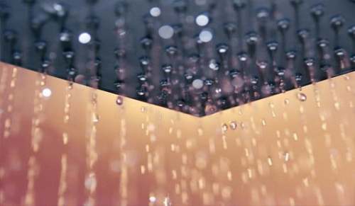 雨水节气养生先要养肝